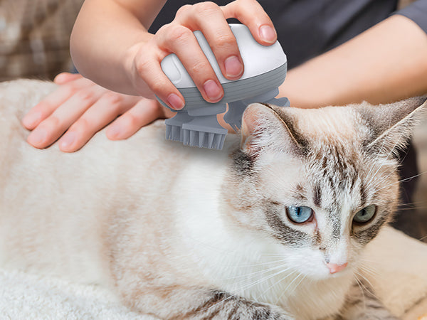 Automatic Pet Massager – Soothing & Hands-Free Comfort