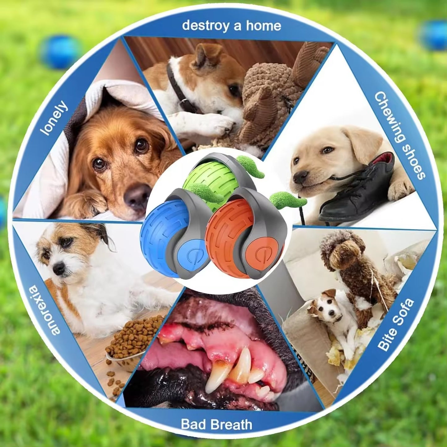 CAT Teaser Ball 2.0 – Interactive Motion Toy for Active Cats