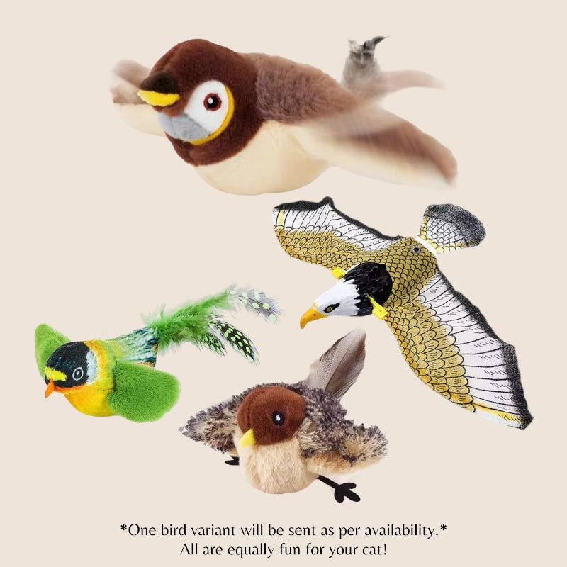 Flappy Bird Pet Toy – Your Pet’s New Favorite Flying Friend!