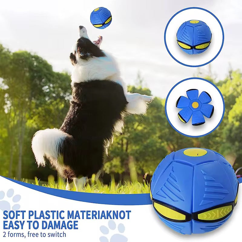 Magic Flying Saucer Ball – 2-in-1 Transforming Dog Toy