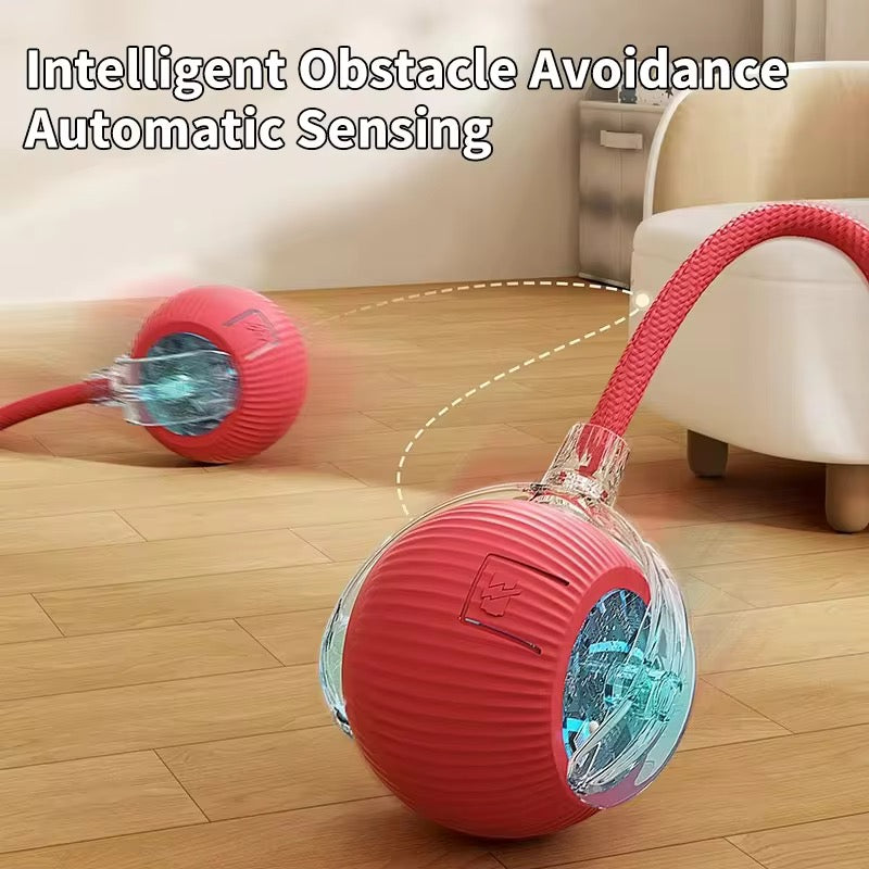 Smart, Interactive Dog and Cat Ball – Fun Bouncing Chew Toy with Rope