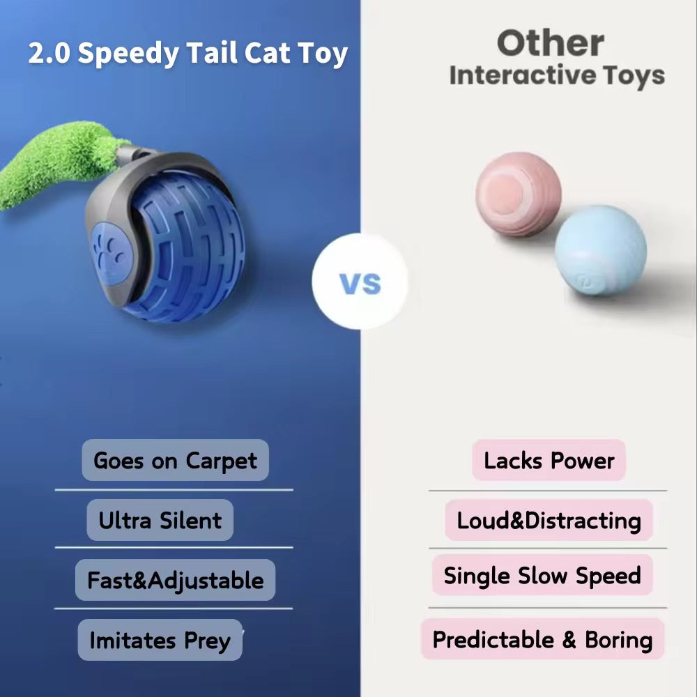 CAT Teaser Ball 2.0 – Interactive Motion Toy for Active Cats