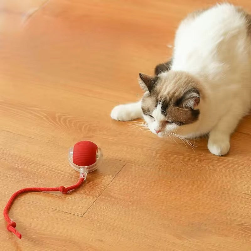 Smart, Interactive Dog and Cat Ball – Fun Bouncing Chew Toy with Rope