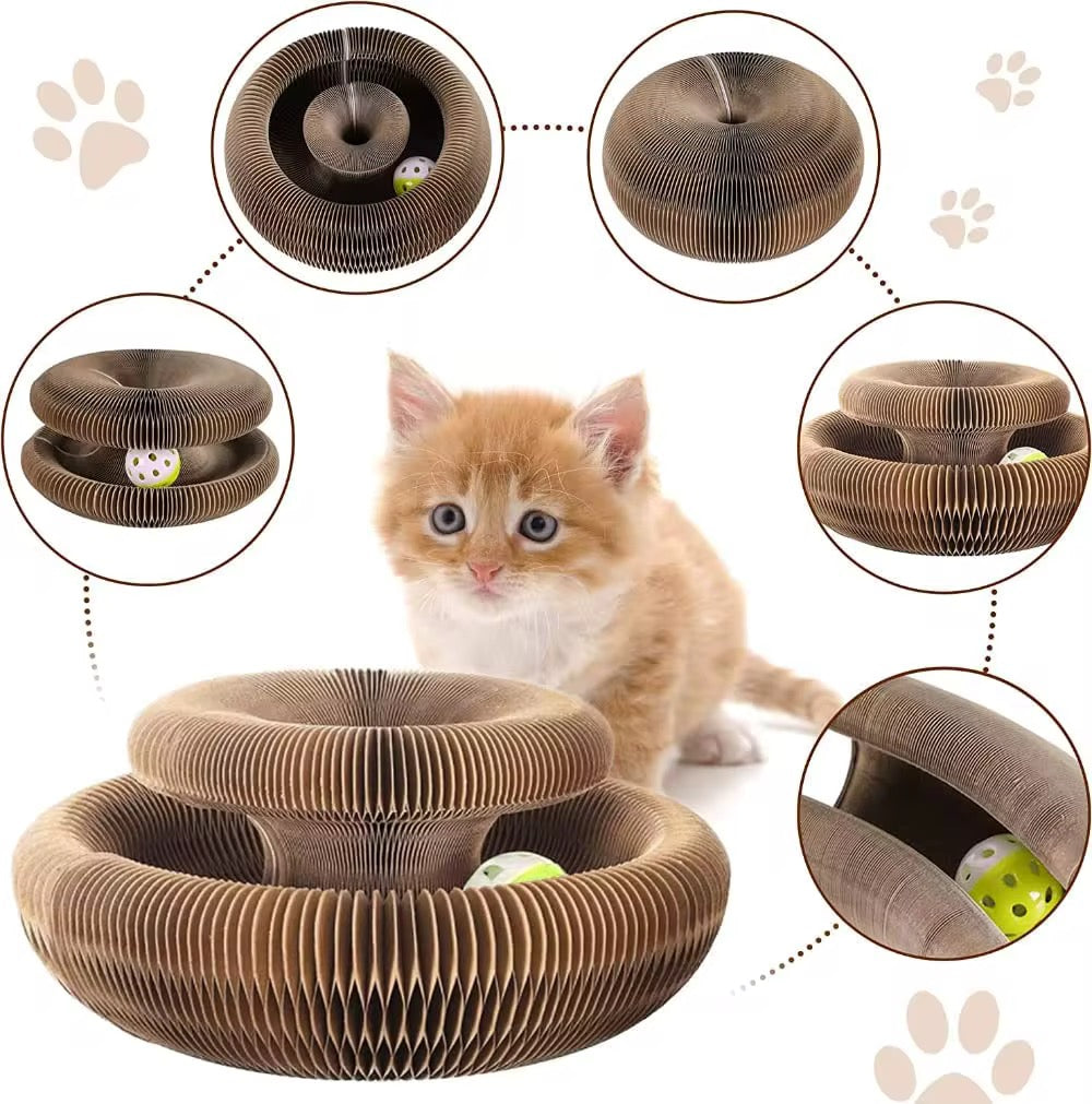 Foldable Magical Cat Scratch Toy – Shape-Shifting Fun for Your Feline! 🐱✨