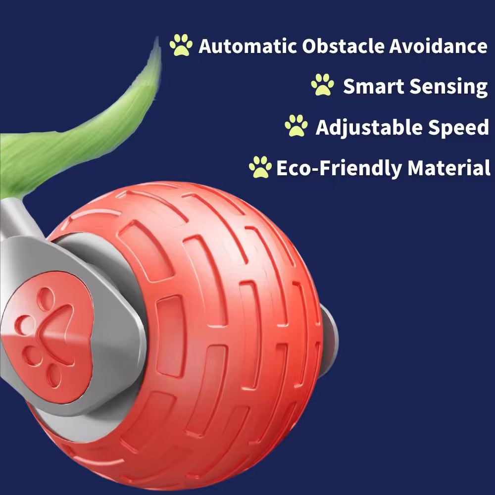 CAT Teaser Ball 2.0 – Interactive Motion Toy for Active Cats