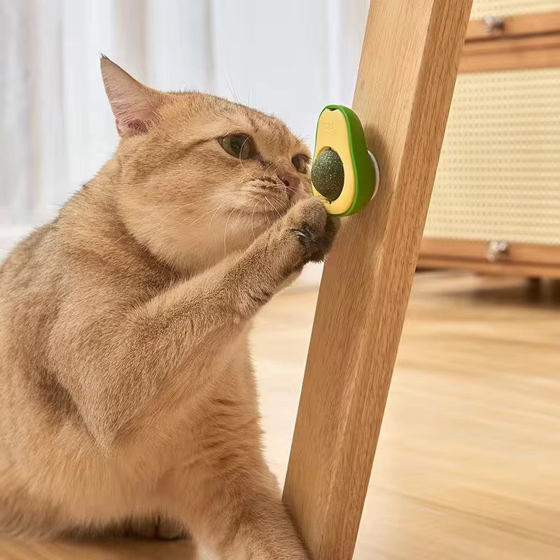 Avocado Catnip Wall Toy – Interactive Cat Treat Toy