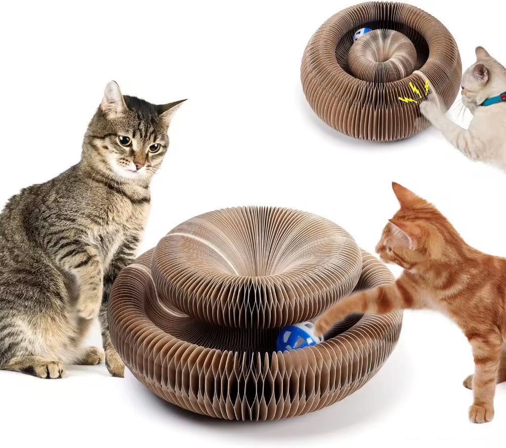 Foldable Magical Cat Scratch Toy – Shape-Shifting Fun for Your Feline! 🐱✨