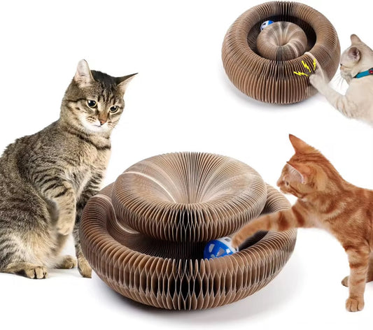 Foldable Magical Cat Scratch Toy – Shape-Shifting Fun for Your Feline! 🐱✨