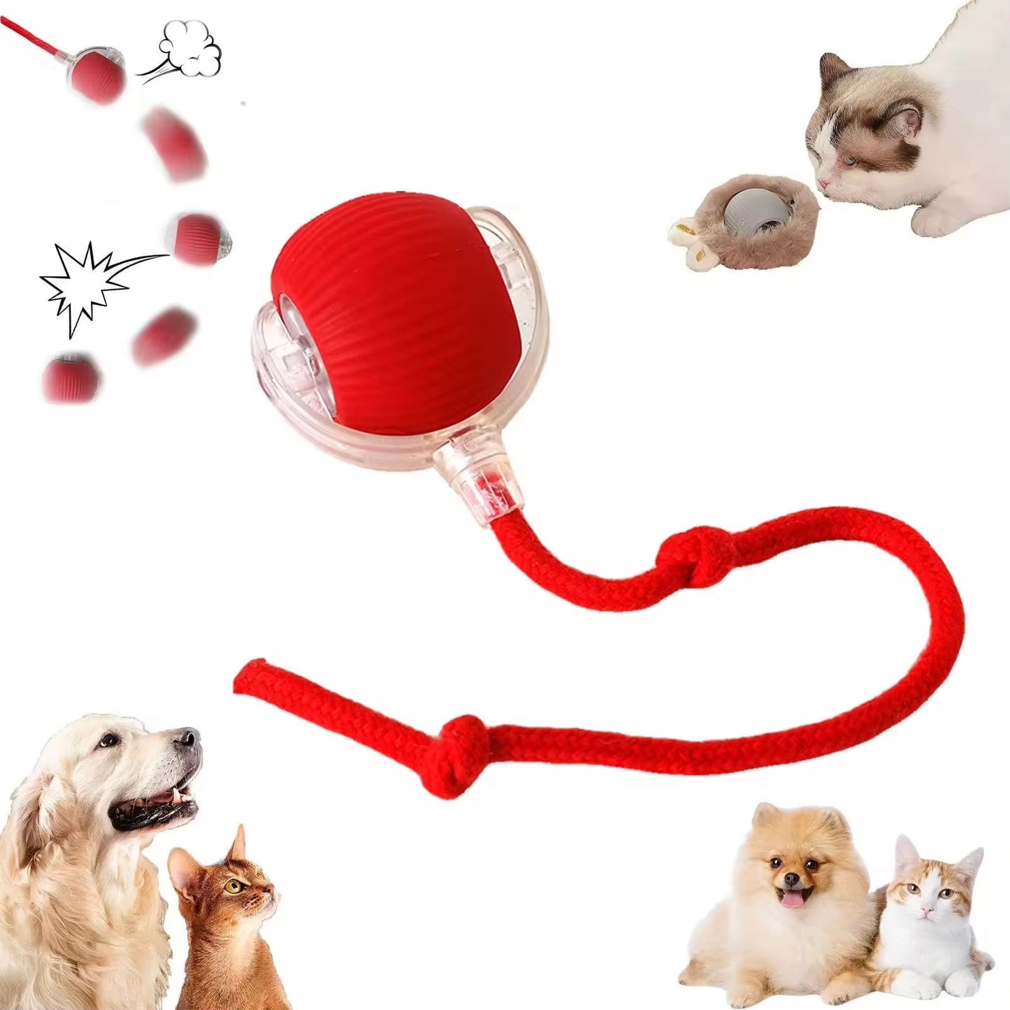 Smart, Interactive Dog and Cat Ball – Fun Bouncing Chew Toy with Rope