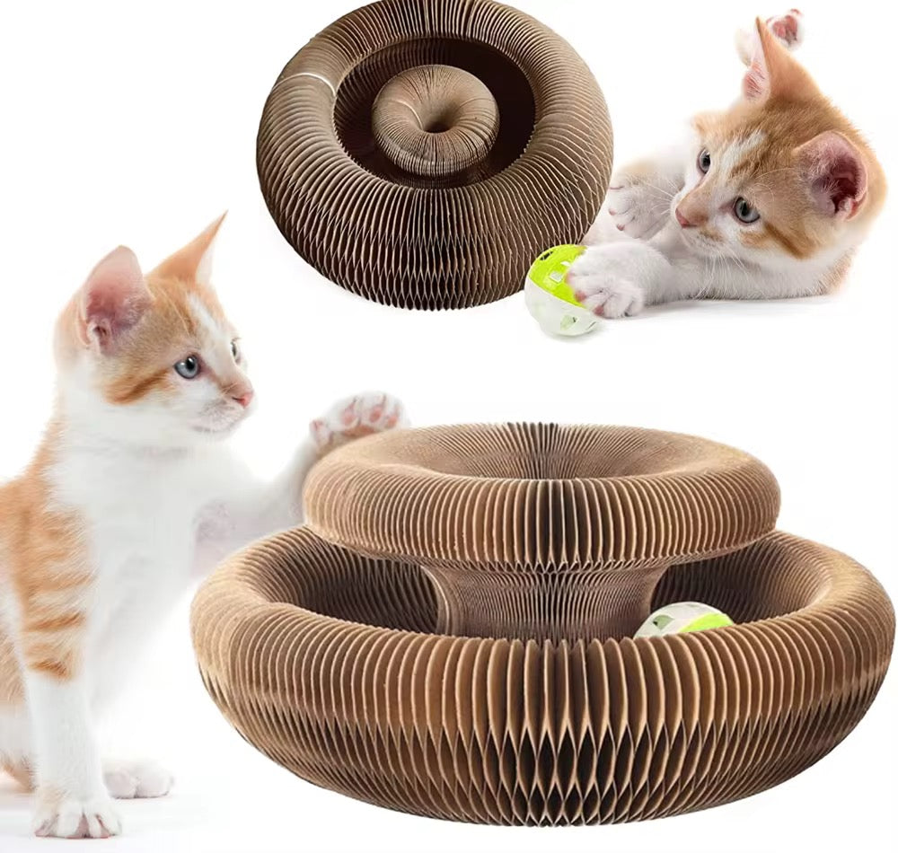 Foldable Magical Cat Scratch Toy – Shape-Shifting Fun for Your Feline! 🐱✨